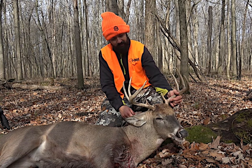 Michigan Deer