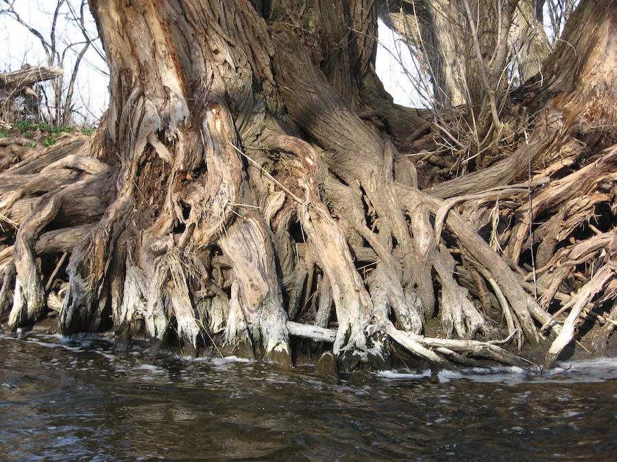 river fishing