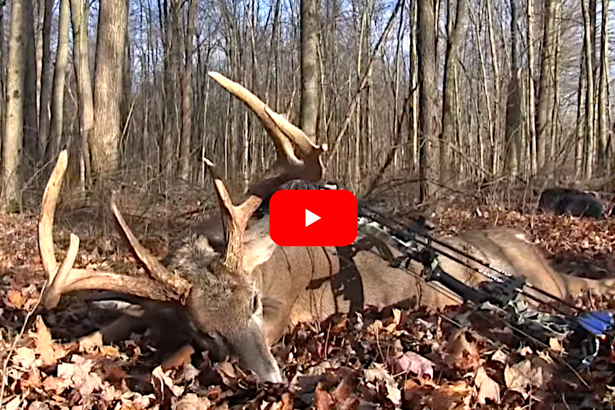 6-Point