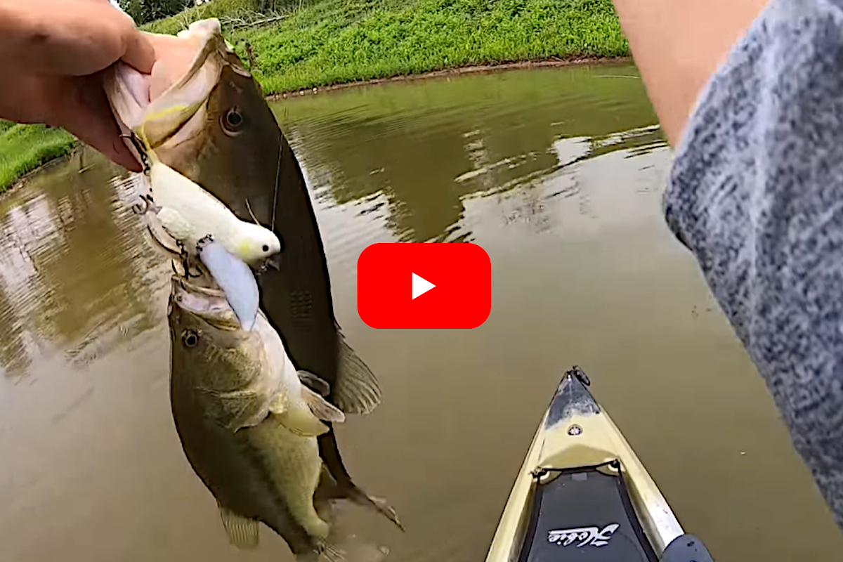 Kayak Angler Lands Two Bass on Same Cast Using a Bird Lure - Wide Open  Spaces