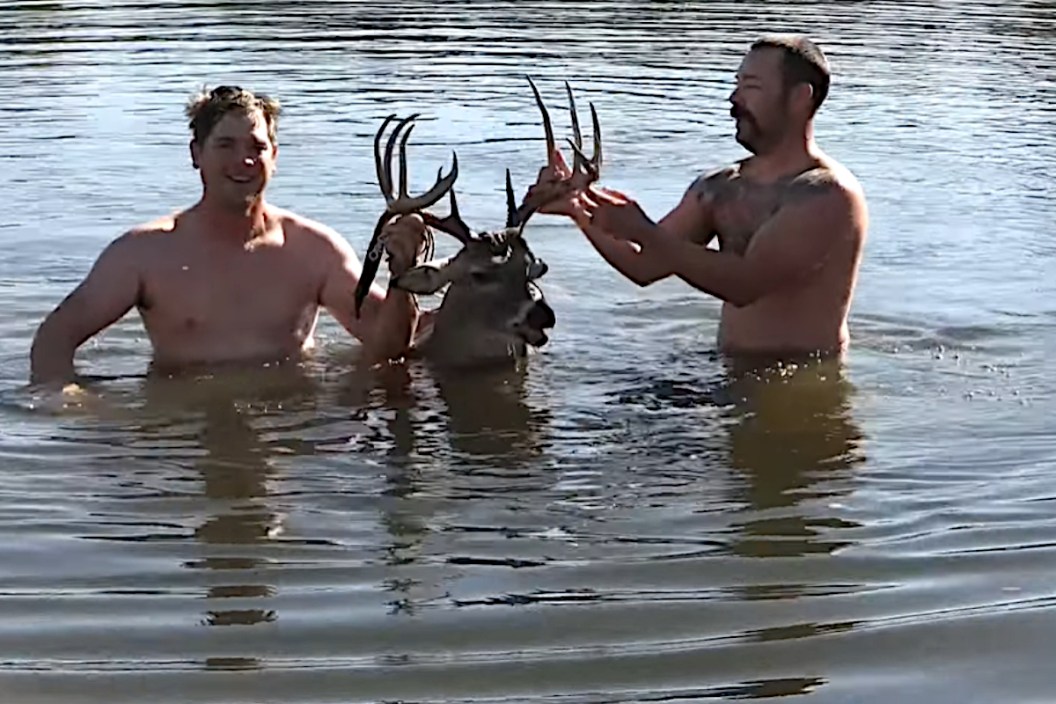 Drop Tine Buck