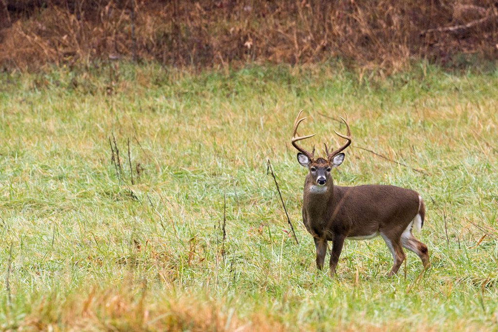 Best Hunting Season Weather