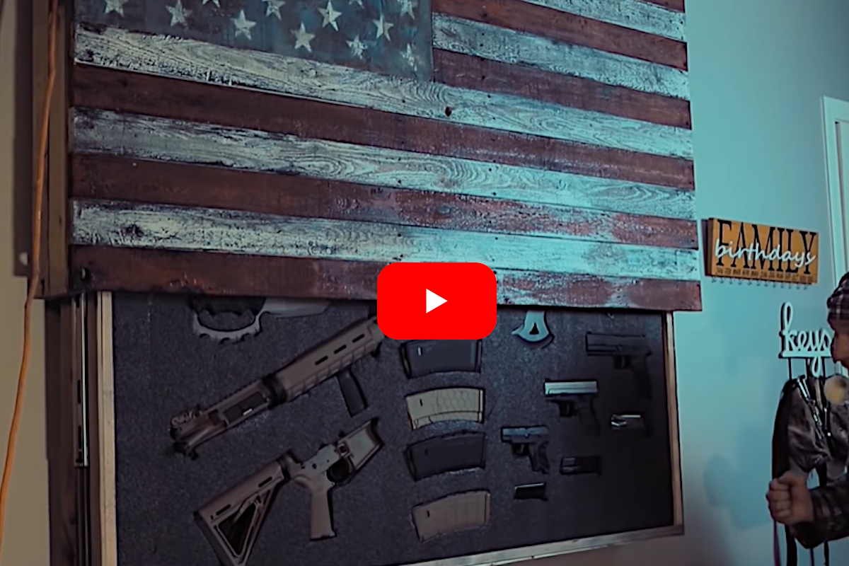 Gun Concealment Case