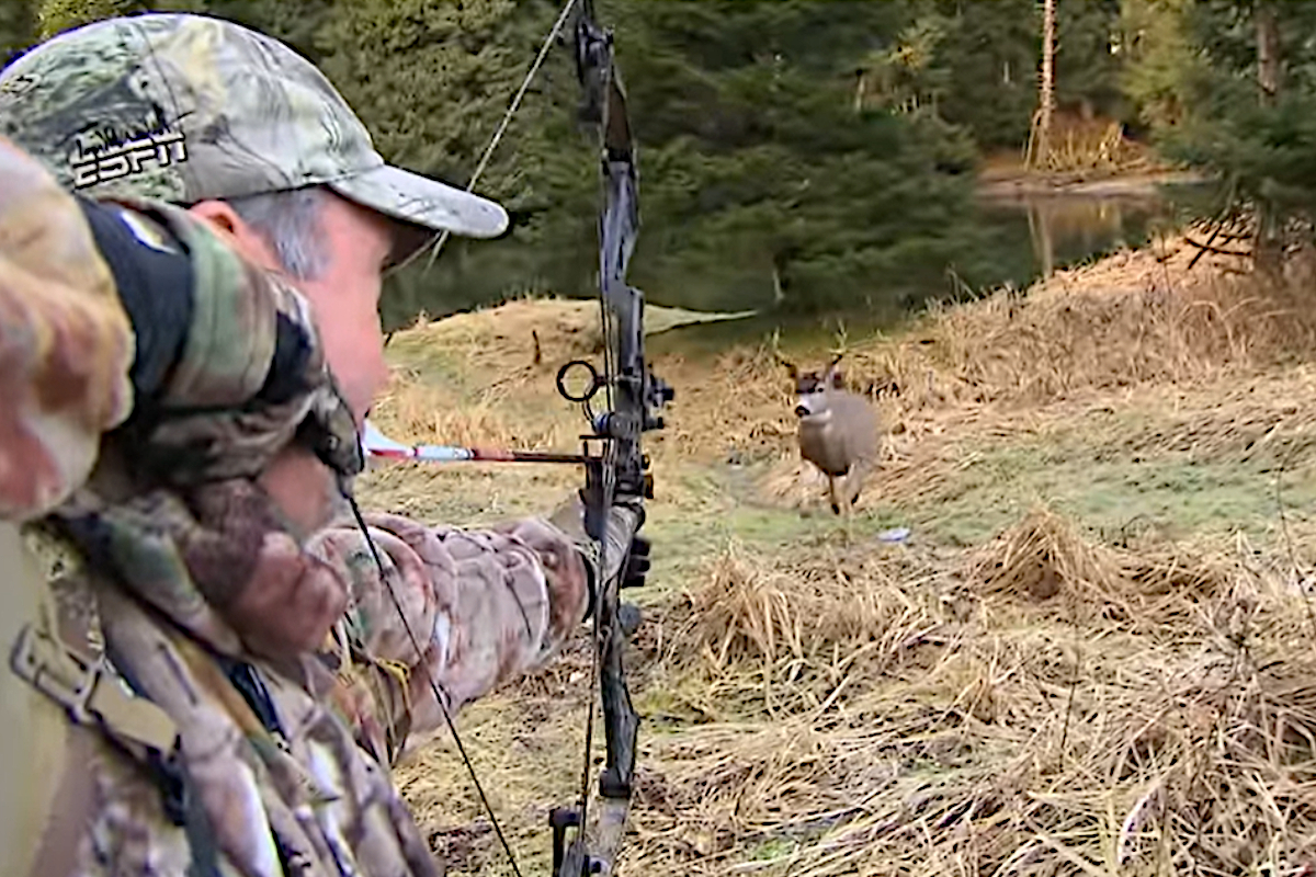 Bowhunter Makes Spectacular Close Quarters Shot at Kodiak Island