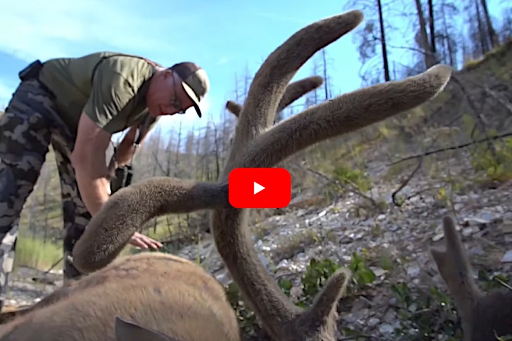 Mule Deer Hunt