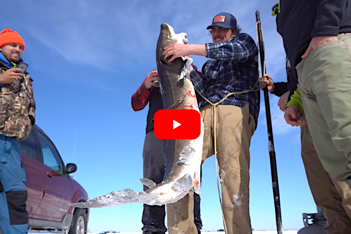 Sturgeon Spearing