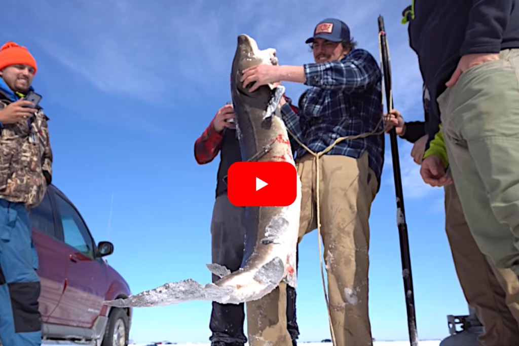 Longest Sturgeon Ever Taken on Lake Winnebago Sets Wisconsin Record