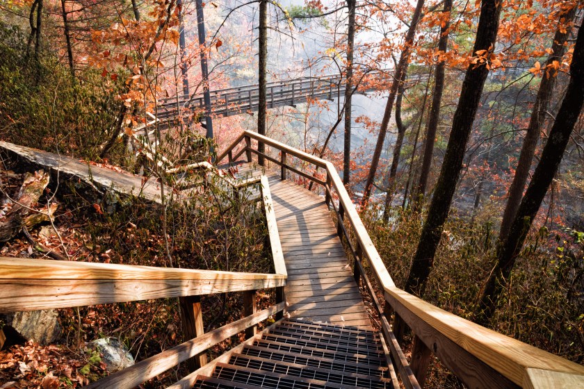 Wooden walkway leading towards a suspension bridge that crosses over the Tallulah River in Tallulah Gorge State Park in Georgia USA. Autumn leaf color.