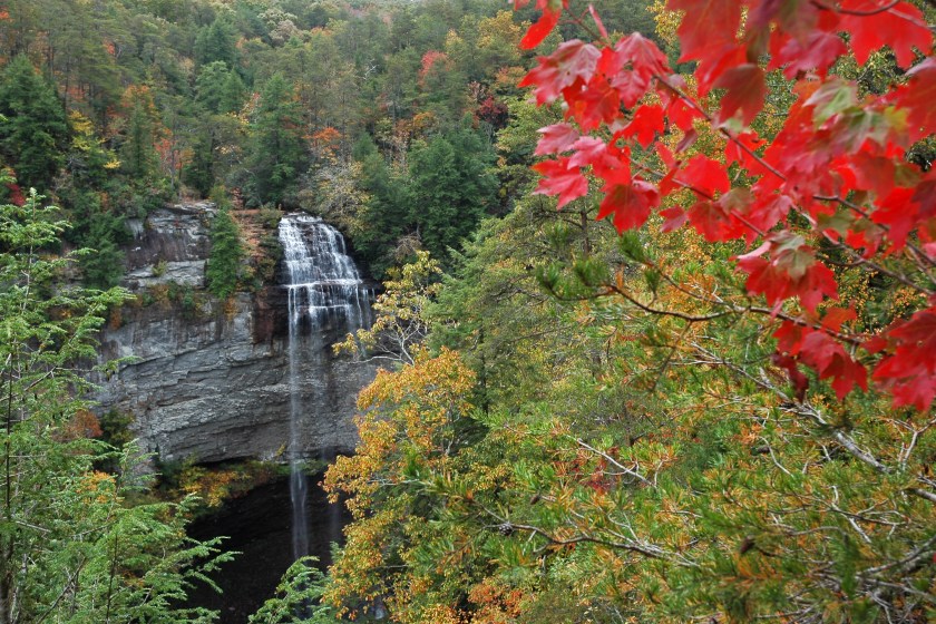 Overhead view looking down on Fall Creek Falls with a red maple in the foreground