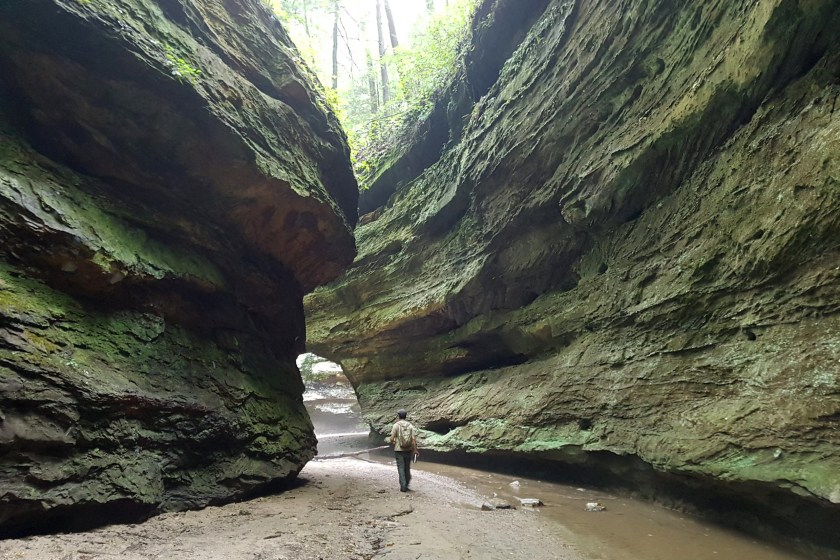 Exploring Turkey Run State Park in Indiana
