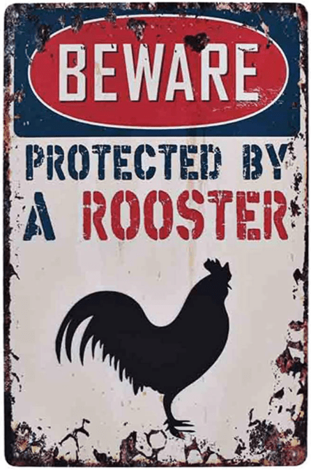 Rooster Sign, Amazon