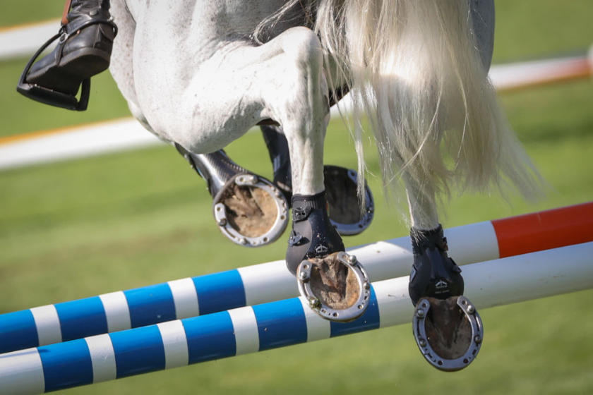 Swedish show jumper rides over an obstacle on Catch Me Not