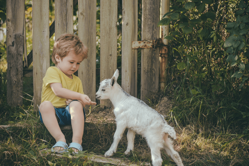 goat names