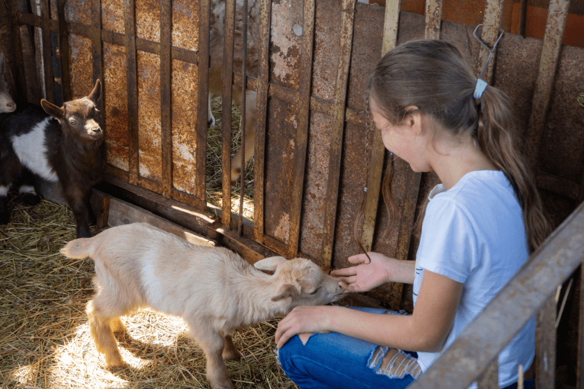 goat names