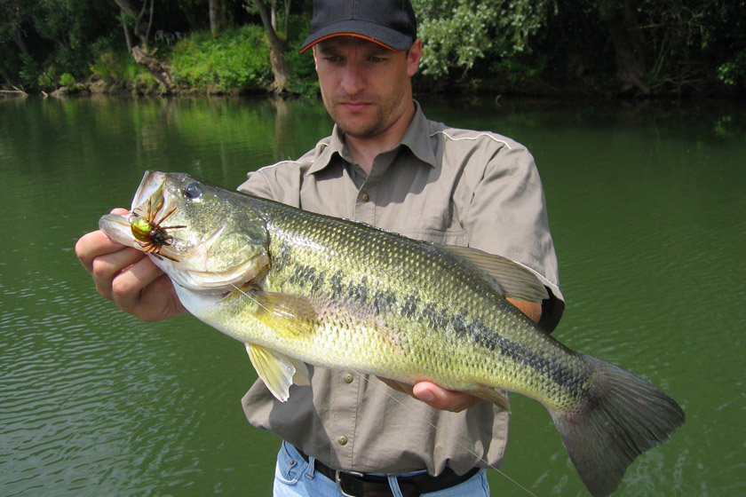 texas bass fishing