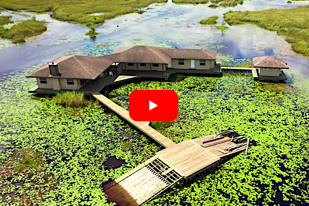 Everglades Camp Home
