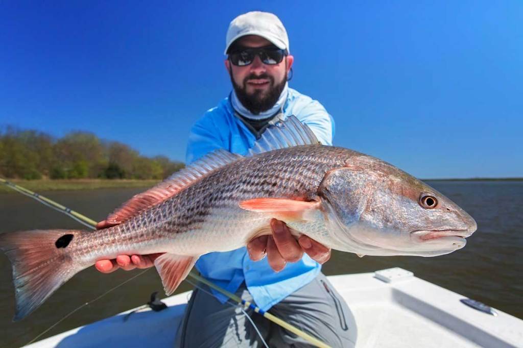 Red Drum Fishing Tips for Beginners Wide Open Spaces