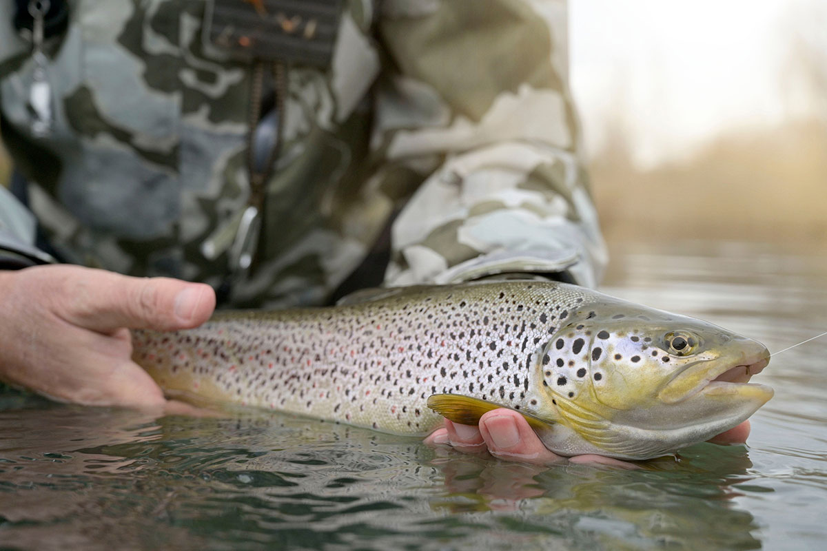 Winter Trout Fishing