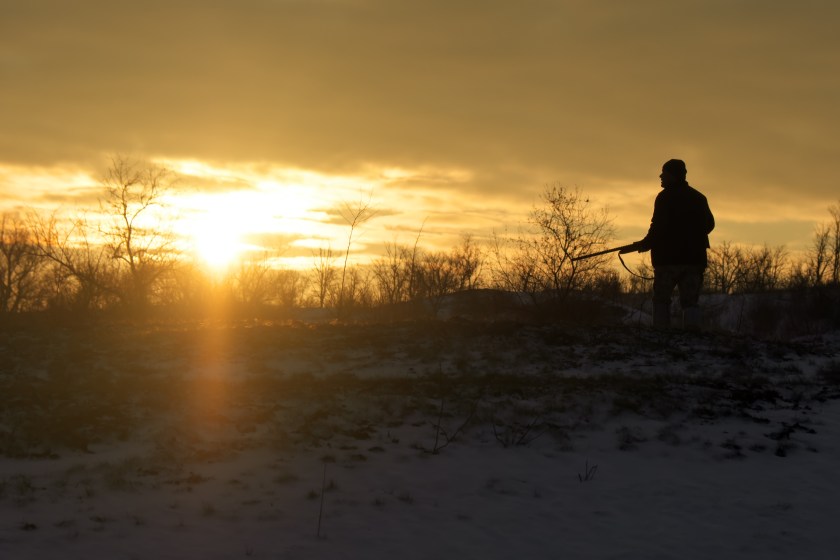 coyote hunting