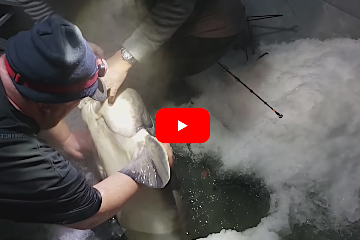 Ice Fishing Sturgeon