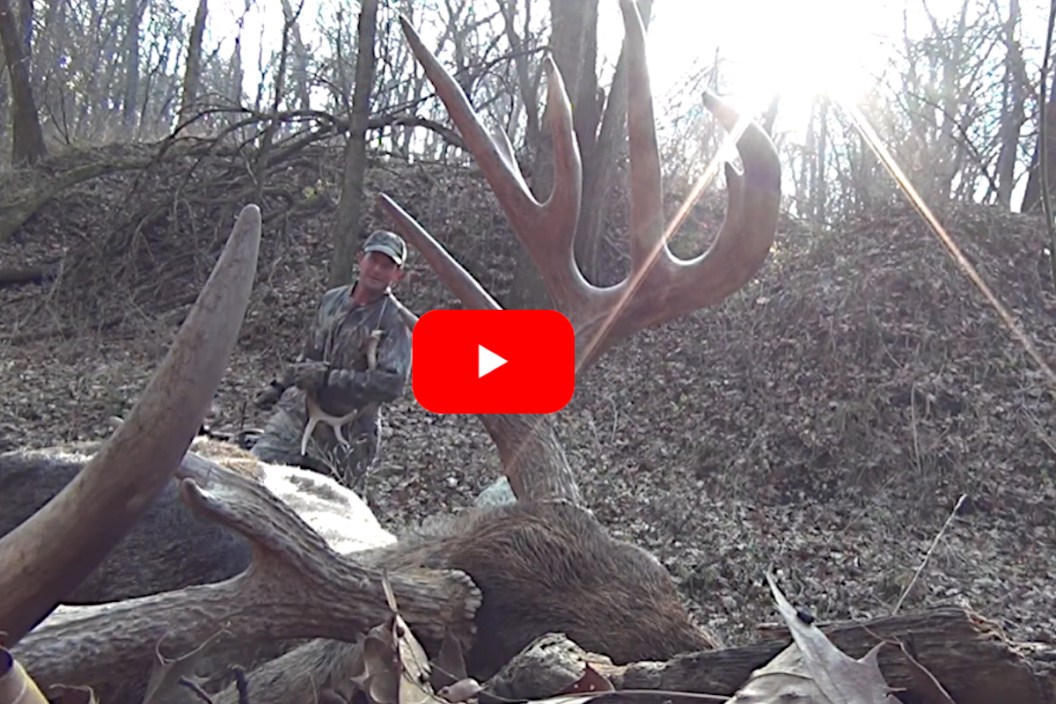 Iowa Buck