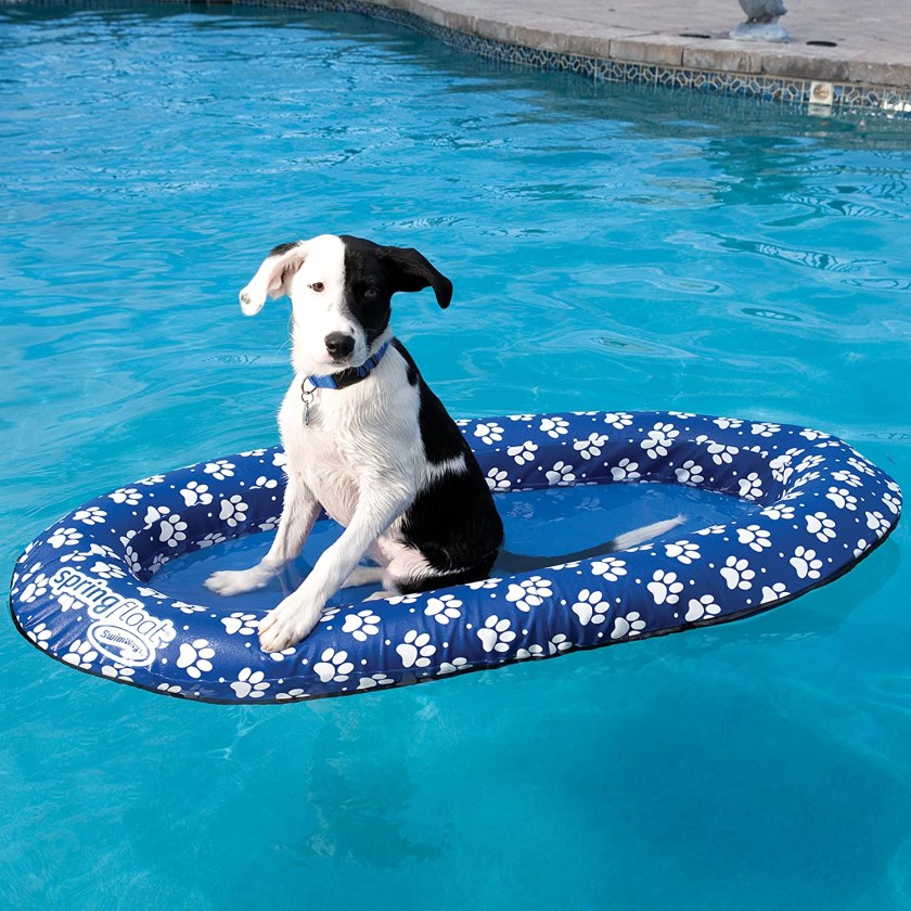 SwimWays Spring Float Paddle Paws Dog Pool Float - Small (0-65 lbs)