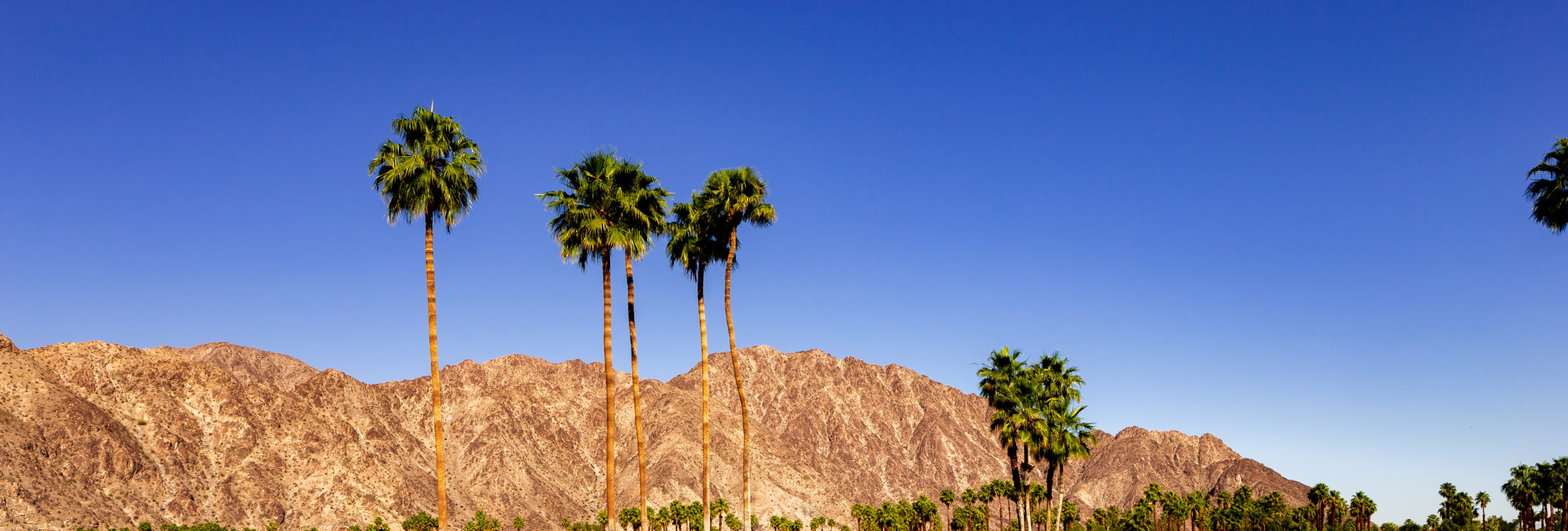 san jacinto mountain, palm springs, california