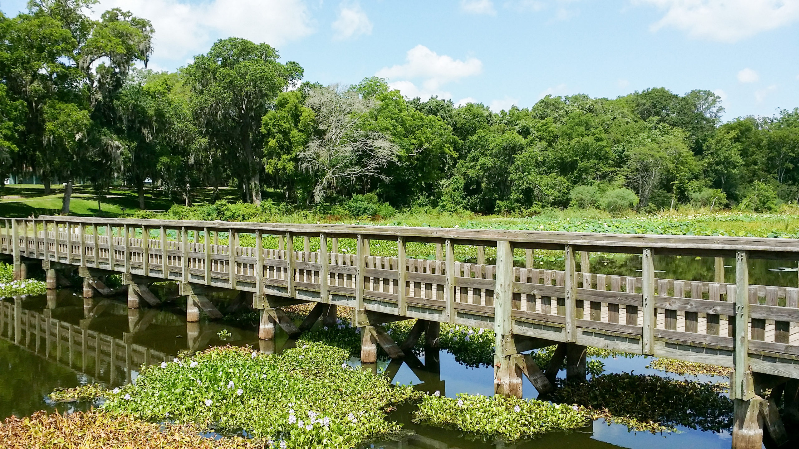 Brazos Bend State Park