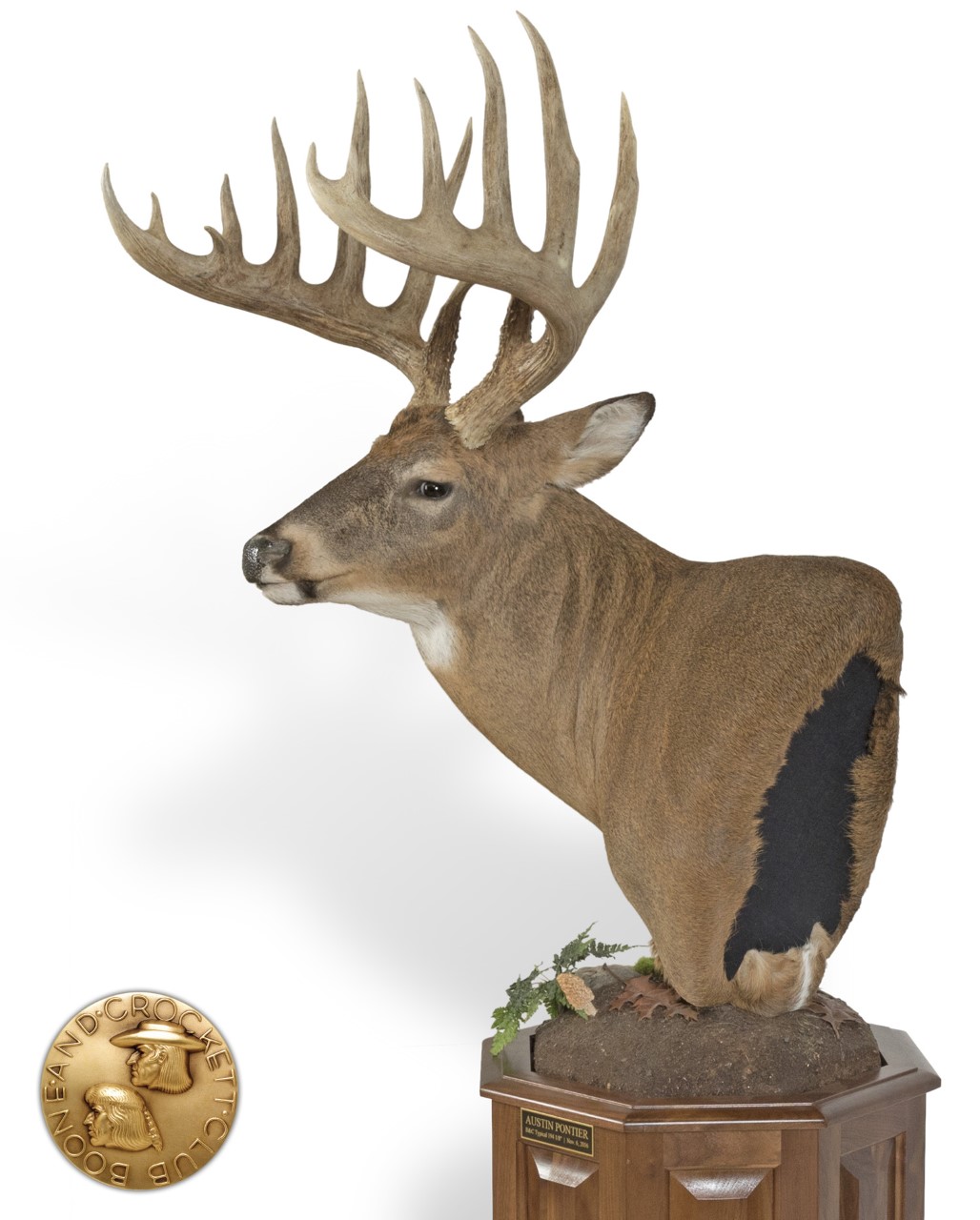 Boone and Crockett Top Whitetail States