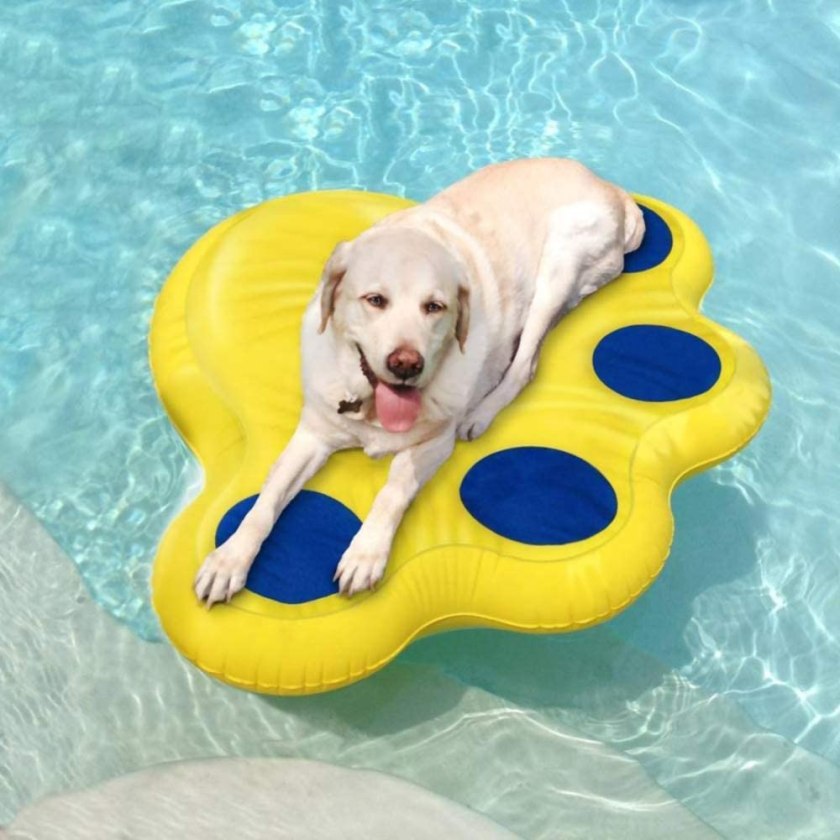 Paws Aboard Doggy Lazy Raft, Puncture Resistant Vinyl Dog pool Float, Perfect for The Lake, Pool, River and Boat