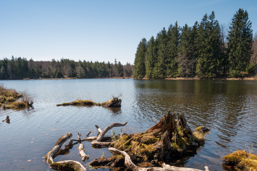 Promised Land State Park: Explore Eastern Pennsylvania's Outdoor Haven