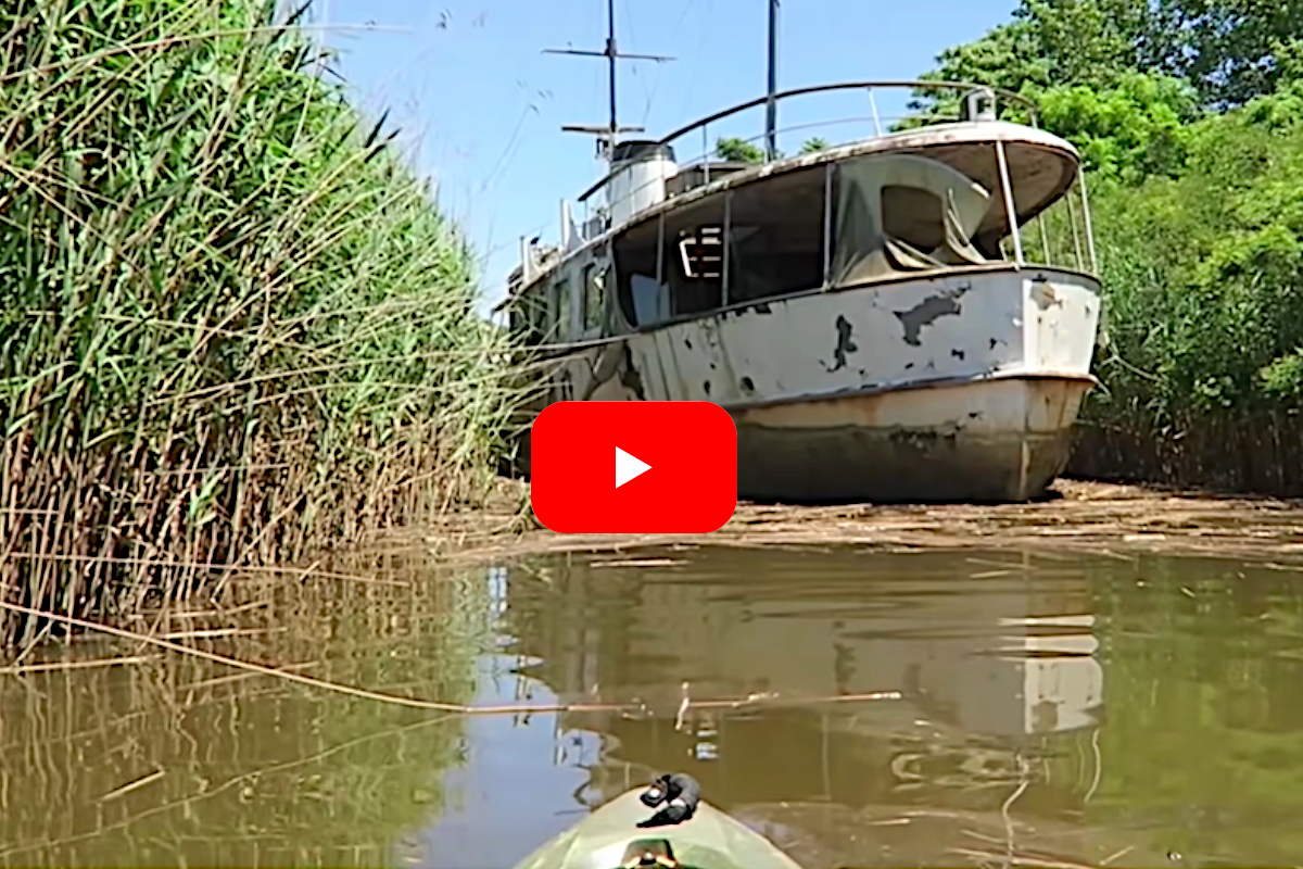 Abandoned Ship