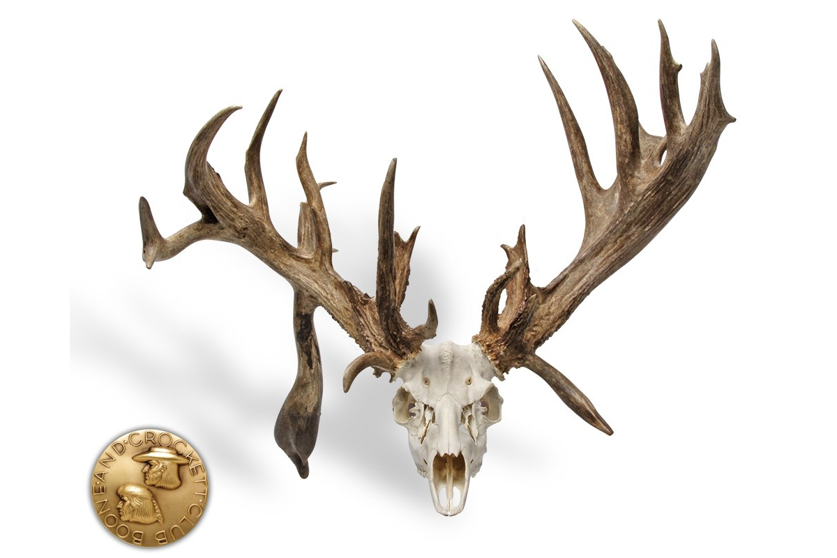 Boone and Crockett Top Whitetail States