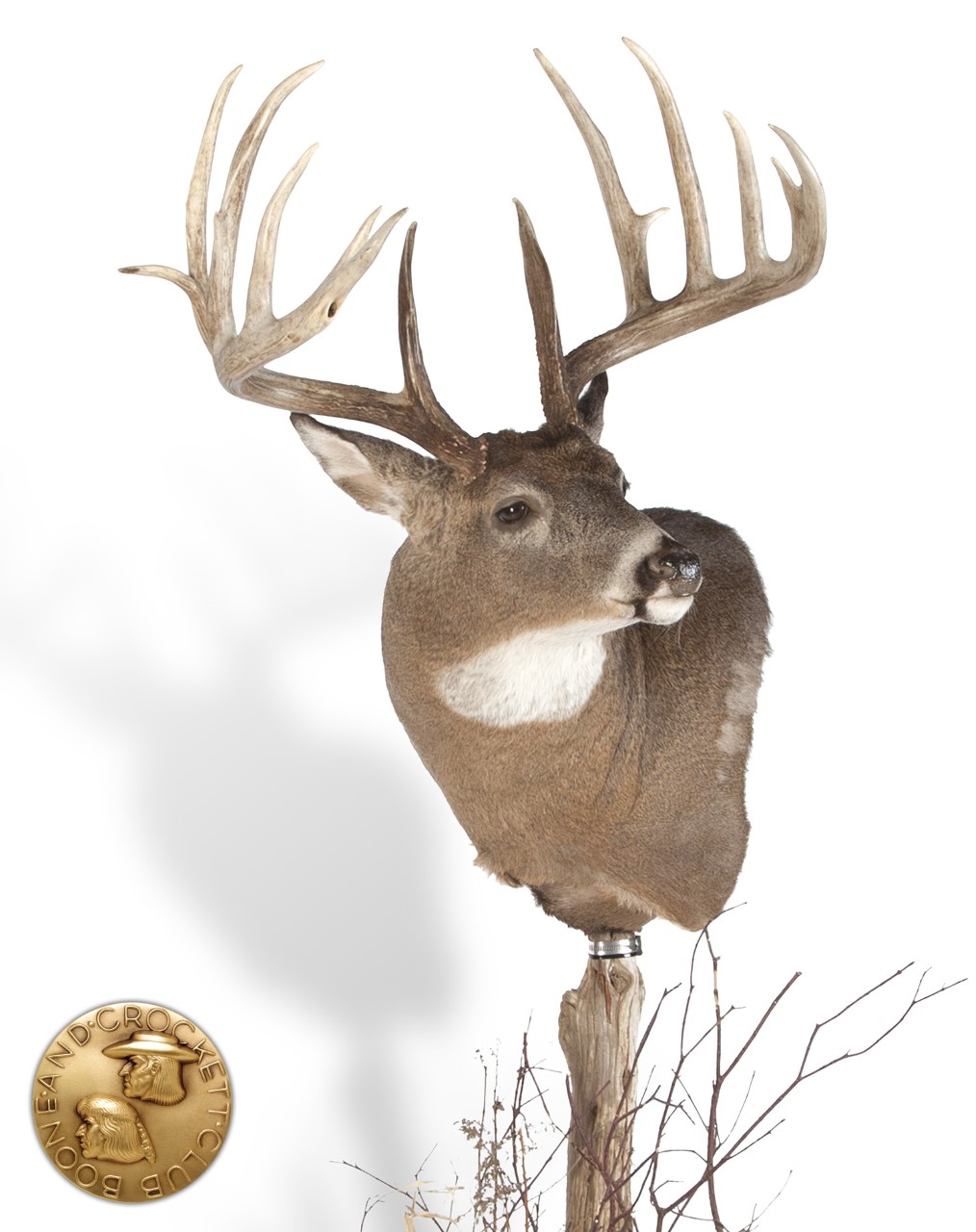 Boone and Crockett Top Whitetail States