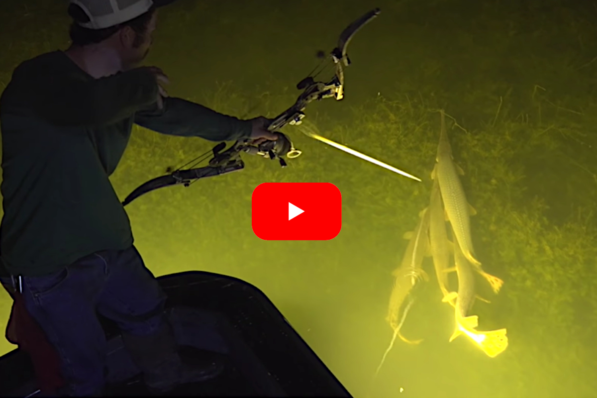 Bowfishing for Gar