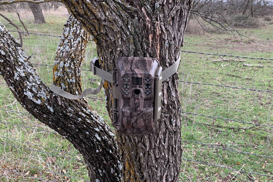 How a Cellular Trail Camera Like the Moultrie X6000 Can Be the Scouting Difference Maker Wide