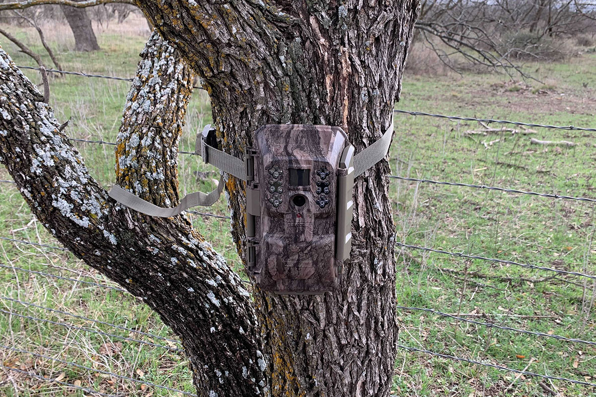 Cellular vs. Standard Trail Cams UseCase Scenarios for Each