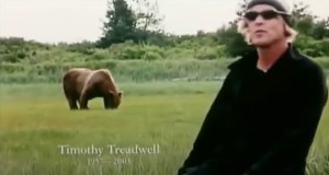 Grizzly Man: Chronicling the Life and Death of Bear Enthusiast Timothy ...