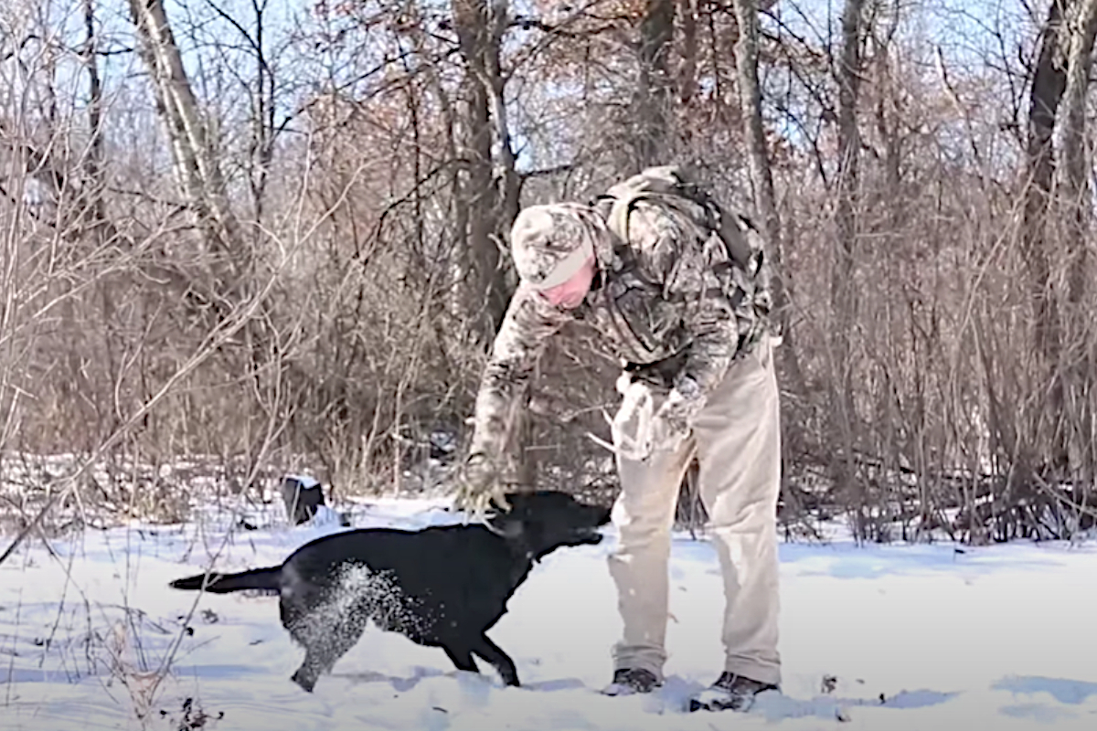 Shed Hunting with Dogs