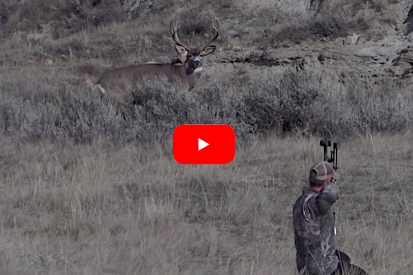 Bowhunter Successfully Spots And Stalks Big Mule Deer Despite A Lack Of Cover Wide Open Spaces 