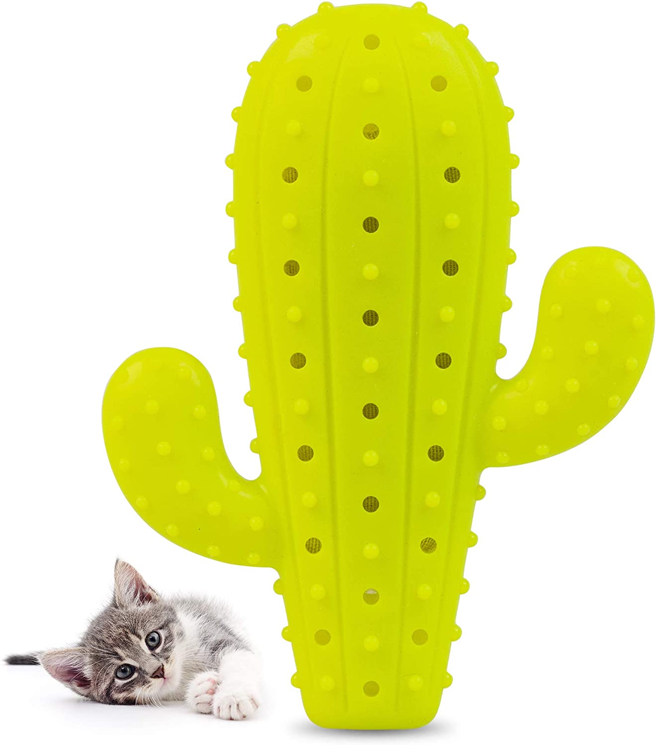 cat chew toy