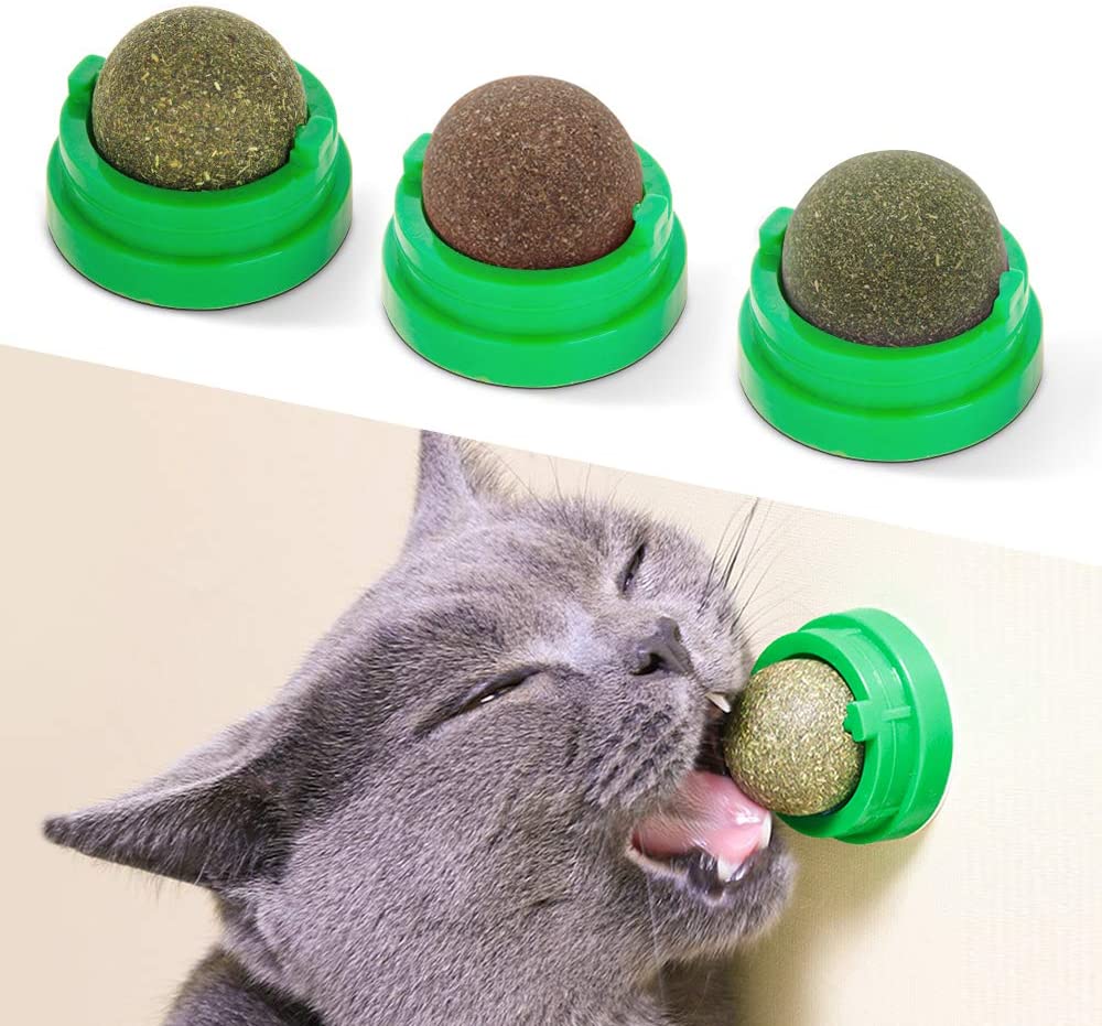 cat chew toy