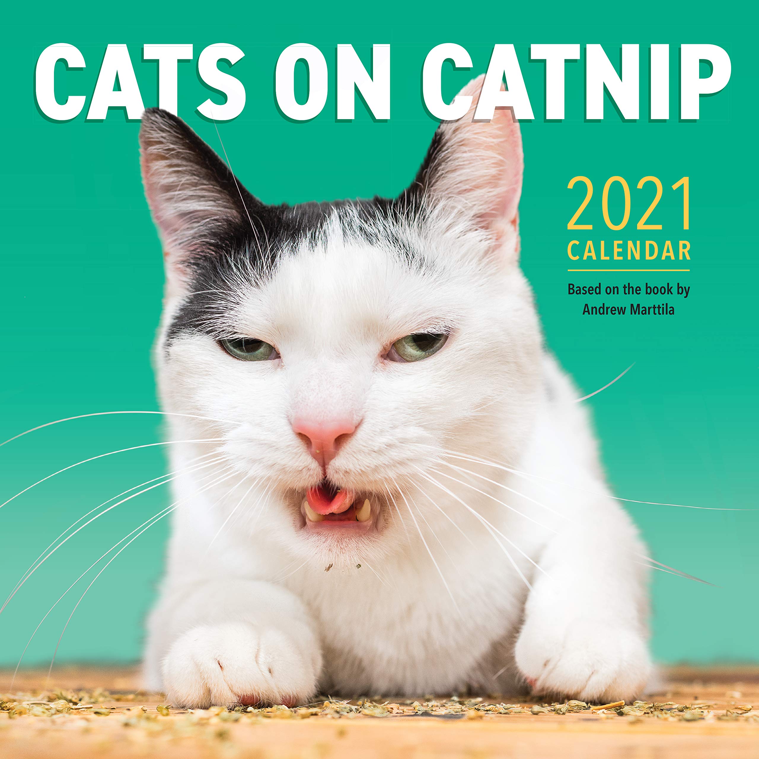 Cat Calendar Top 5 Funniest of 2021 for Home & Office