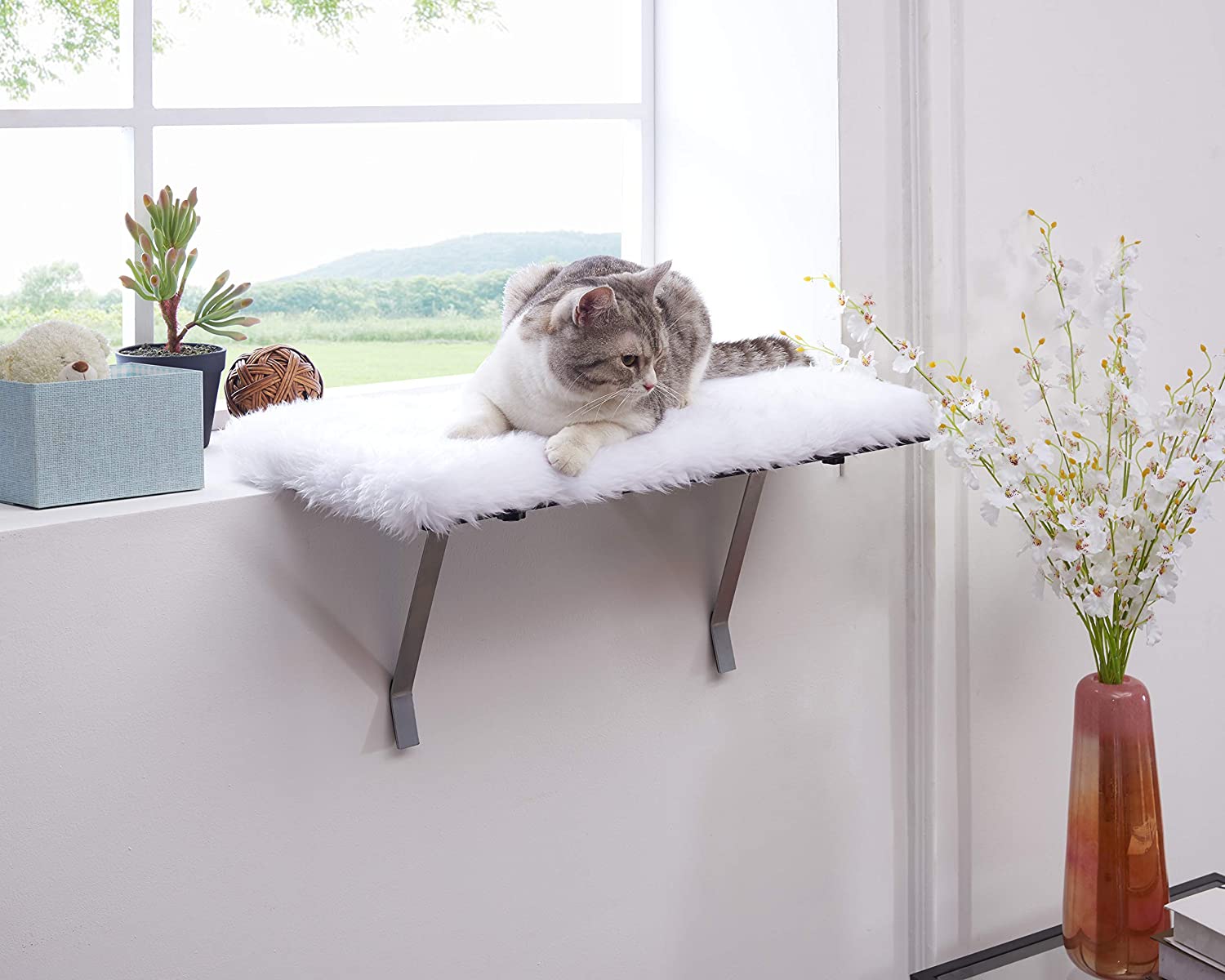 sweetgo Cat Window Perch-Mounted Shelf Bed for cat-Funny Sleep DIY Kitty Sill Window Perch- Washable Foam Cat Seat