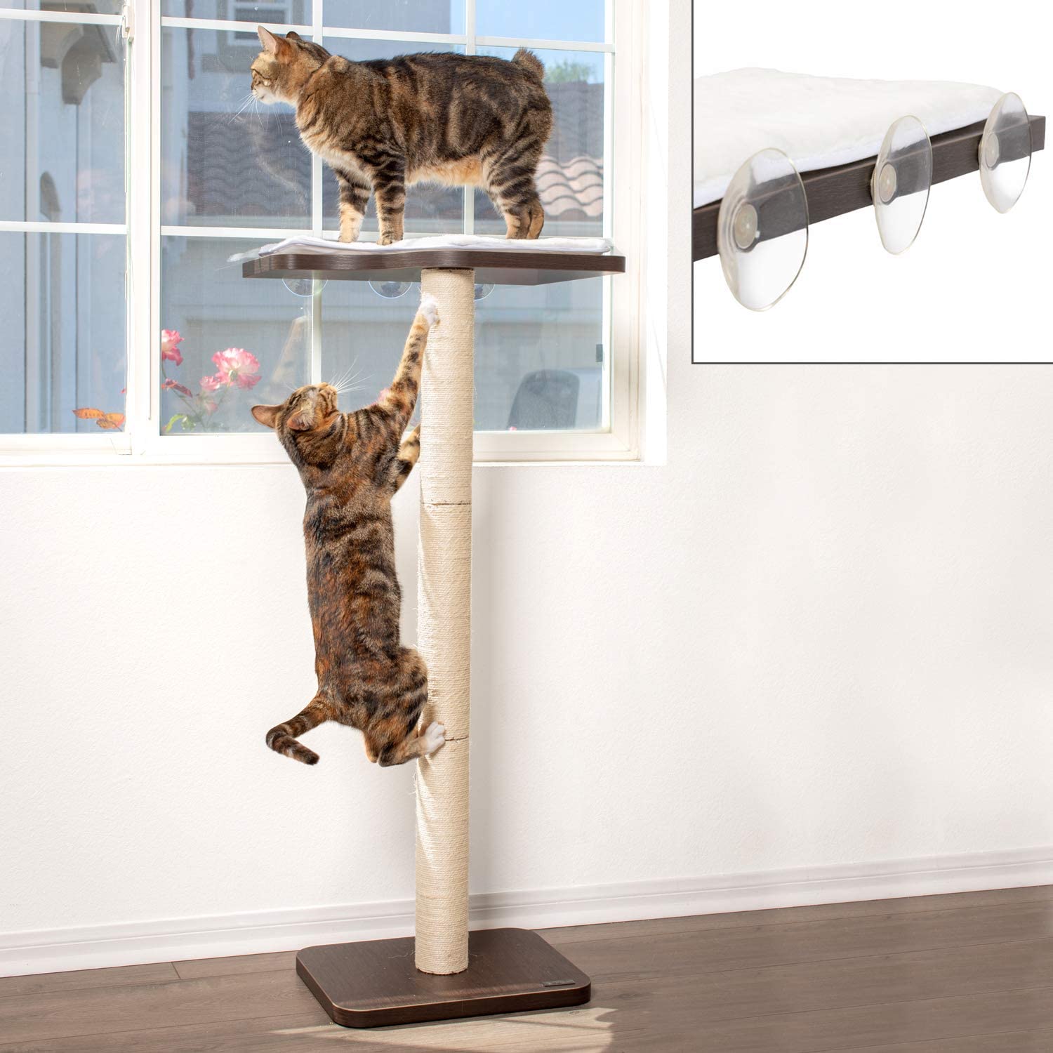 PetFusion Ultimate Cat Window Climbing Perch 45