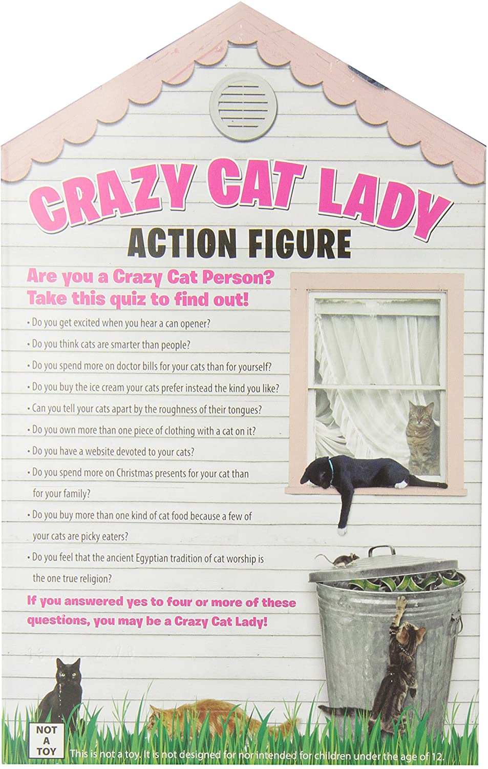 Accoutrements Crazy Cat Lady Action Figure Multicolored, 8 (1)