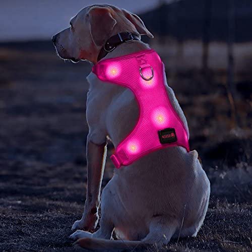 BSEEN LED Dog Harness LED Dog Vest USB Rechargeable Soft Mesh Vest with Adjustable Belt Padded Lightweight for Large Medium Small Dogs
