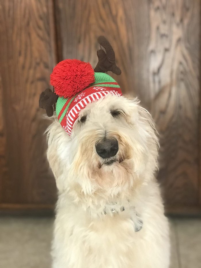 Christmas Dog Hat Reindeer Antler Beanie