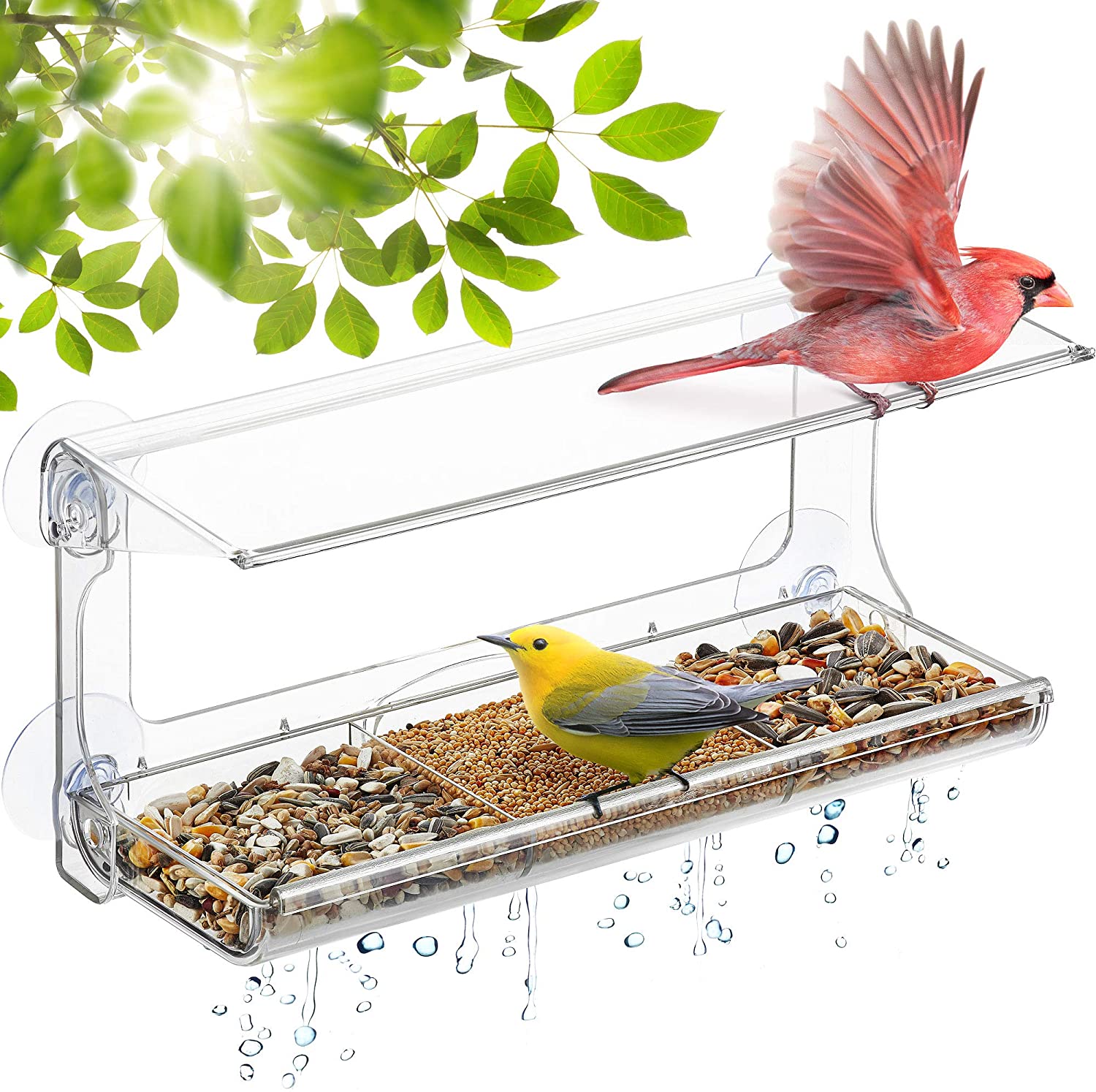 DF OMER Weatherproof Polycarbonat Window Bird Feeder with Strong Suction Cups, Drainage Holes, and 3-Sectioned Removable Tray 11.6x4.3x5.7 in. Bird Watching Gifts for Up-Close, Indoor Bird Watching