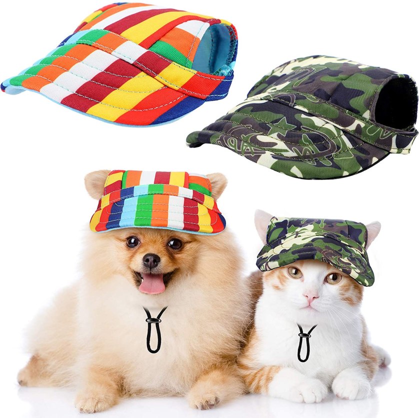 hats for dogs